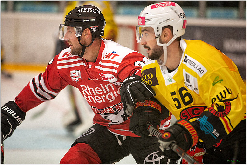 PENNY DEL;  Testspiel 2 Koelner Haie- SC Bern; Koeln, 20.08.2022
